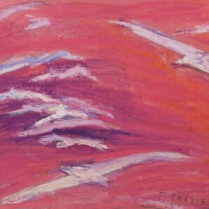 7 - TRAVIESO FRANCISCO - GAVIOTAS