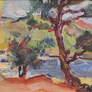 64 - CIOCCHINI CLETO - PAISAJE