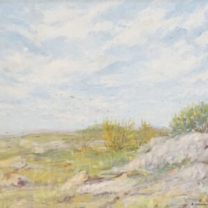 42 - CORDIVIOLA LUIS - PAISAJE