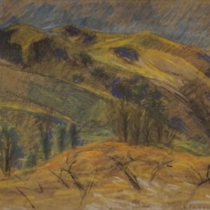 85 - CORDIVIOLA LUIS - SERRANÍA