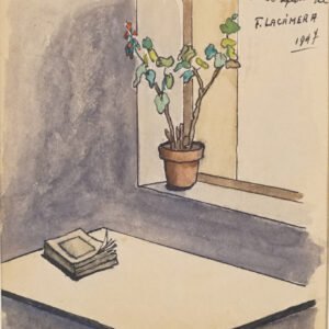 72 - LACÁMERA FORTUNATO - INTERIOR