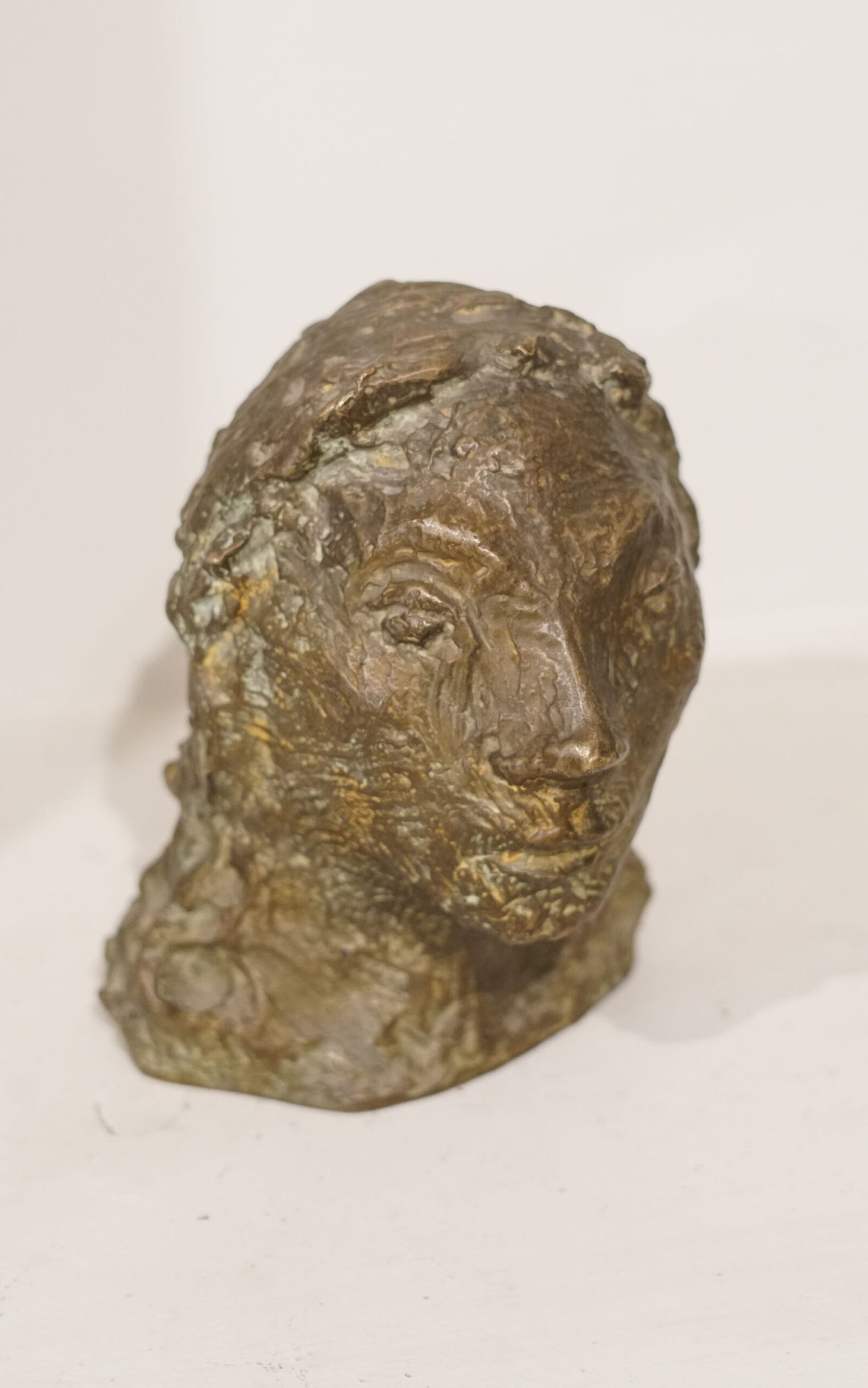 21 - ALONSO JOSÉ - CABEZA